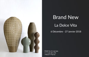 2017-12- Brand New. Hélène Morbu, Jeanne Bonnefoy-Mercuriali et Pierre-Rémi Chauveau - 2017-12- Brand New. Hélène Morbu _ Galerie Arcanes l Arts Décoratifs XXe - Art Contemporain Paris